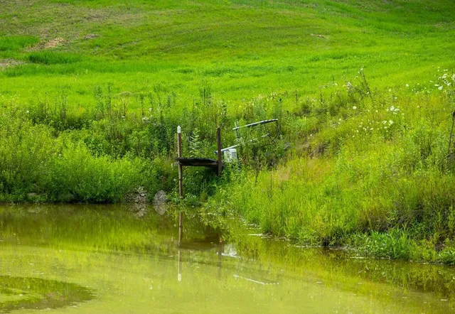 $2,950,000 | N34701 County Road South, Blair, WI 54616