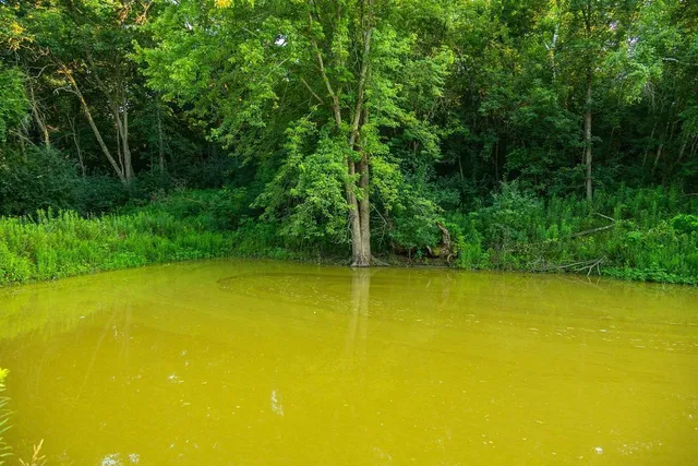 $2,950,000 | N34701 County Road South, Blair, WI 54616