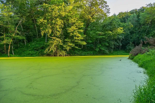 $2,950,000 | N34701 County Road South, Blair, WI 54616