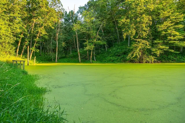 $2,950,000 | N34701 County Road South, Blair, WI 54616