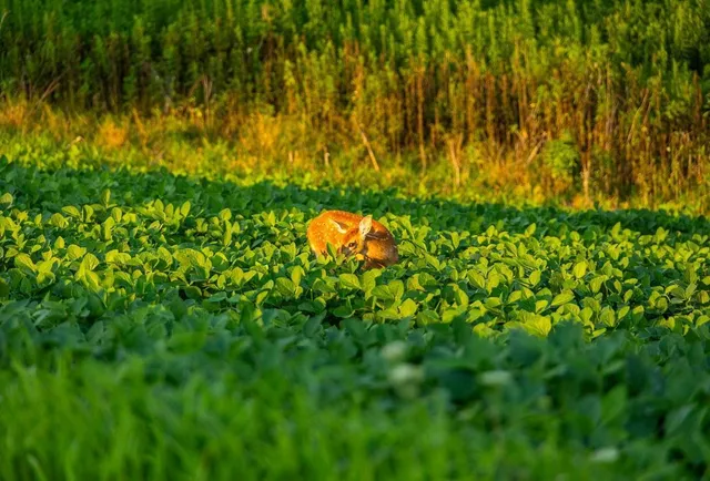 $2,950,000 | N34701 County Road South, Blair, WI 54616