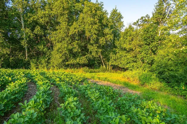 $2,950,000 | N34701 County Road South, Blair, WI 54616