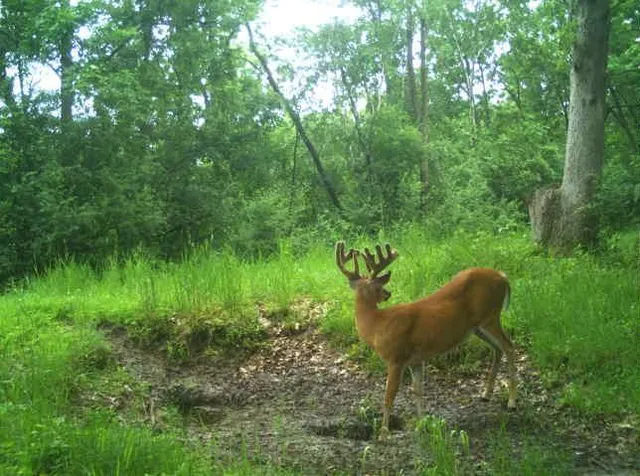 $2,950,000 | N34701 County Road South, Blair, WI 54616