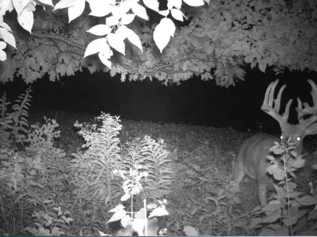 $2,950,000 | N34701 County Road South, Blair, WI 54616