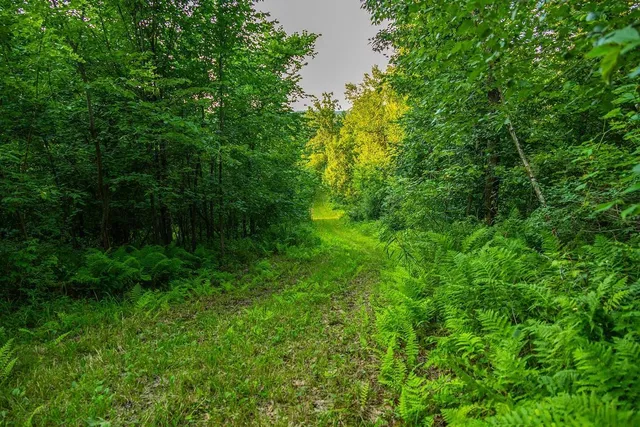 $2,950,000 | N34701 County Road South, Blair, WI 54616