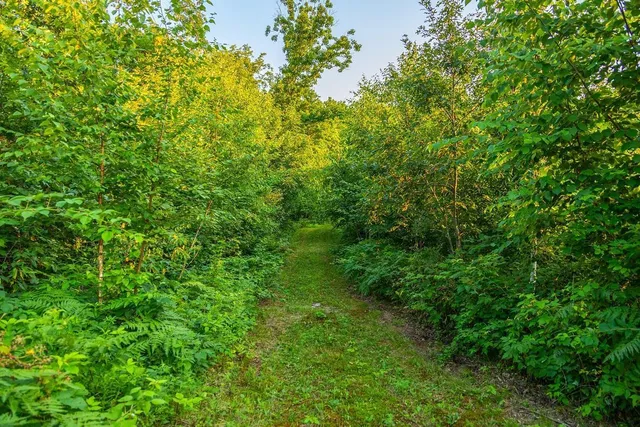 $2,950,000 | N34701 County Road South, Blair, WI 54616