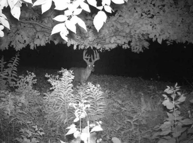 $2,950,000 | N34701 County Road South, Blair, WI 54616