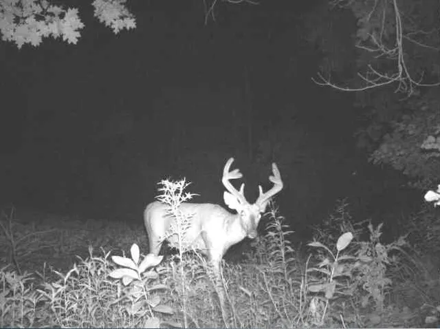 $2,950,000 | N34701 County Road South, Blair, WI 54616