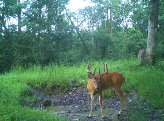 $2,950,000 | N34701 County Road South, Blair, WI 54616