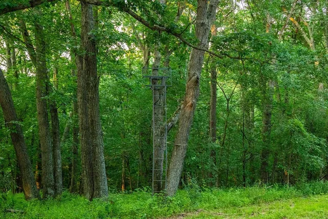 $2,950,000 | N34701 County Road South, Blair, WI 54616