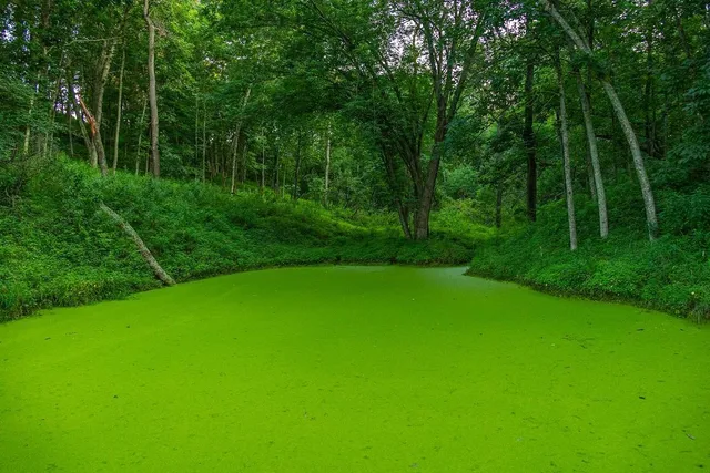 $2,950,000 | N34701 County Road South, Blair, WI 54616