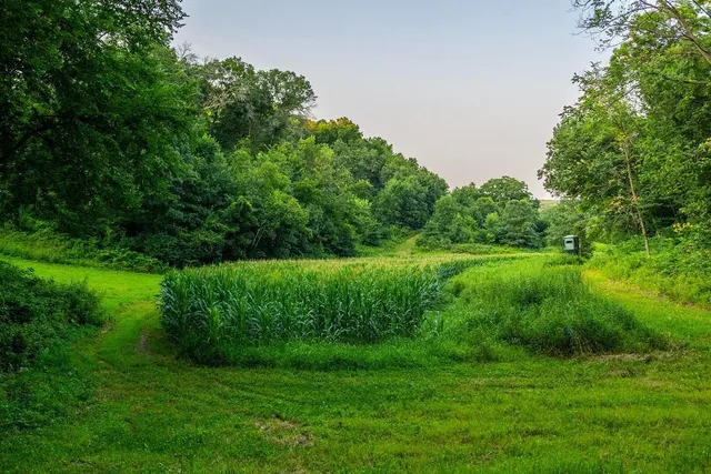 $2,950,000 | N34701 County Road South, Blair, WI 54616