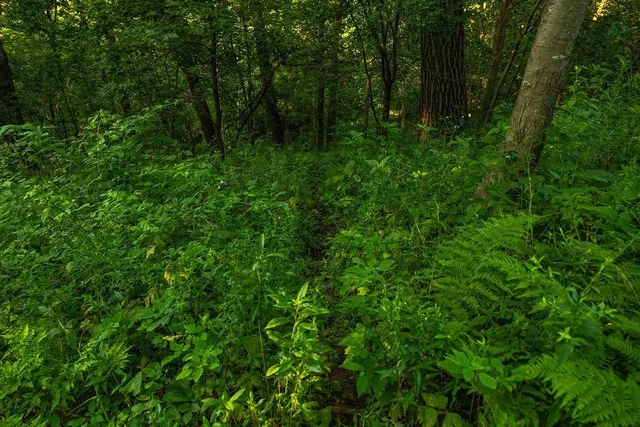 $2,950,000 | N34701 County Road South, Blair, WI 54616