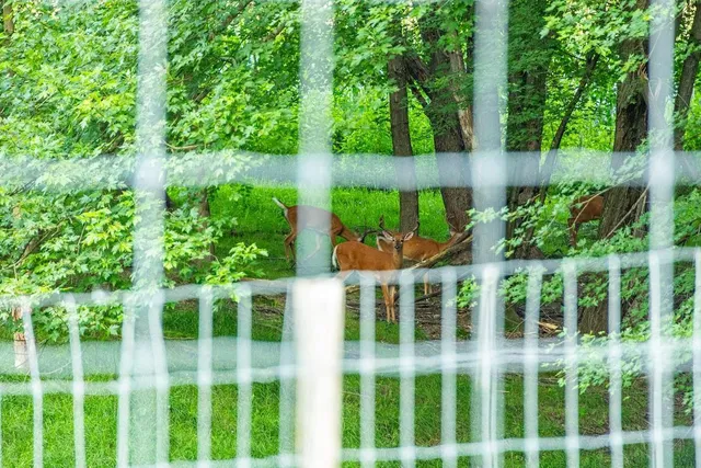 $2,950,000 | N34701 County Road South, Blair, WI 54616