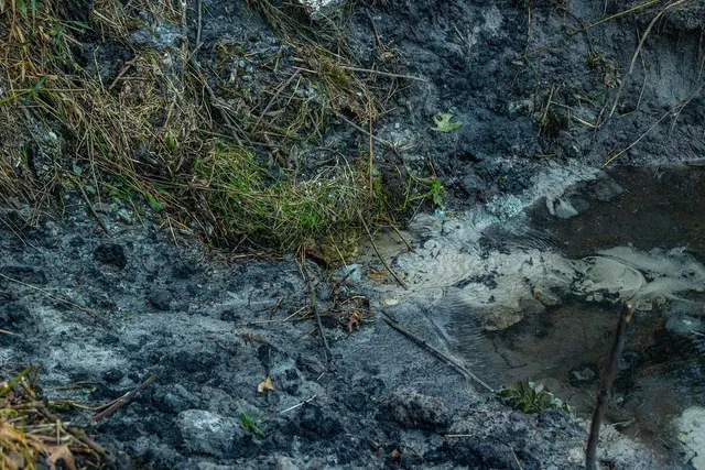 $2,950,000 | N34701 County Road South, Blair, WI 54616