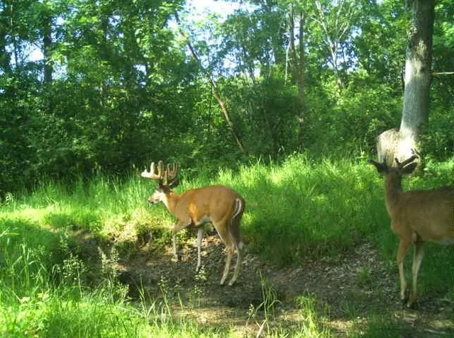 $2,950,000 | N34701 County Road South, Blair, WI 54616