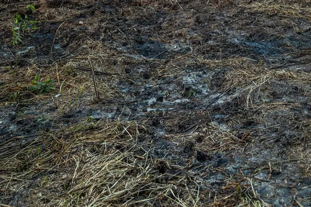 $2,950,000 | N34701 County Road South, Blair, WI 54616