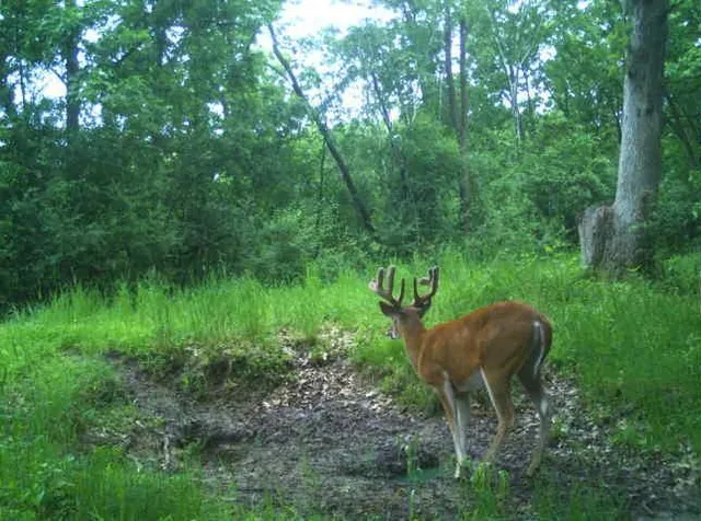 $2,950,000 | N34701 County Road South, Blair, WI 54616