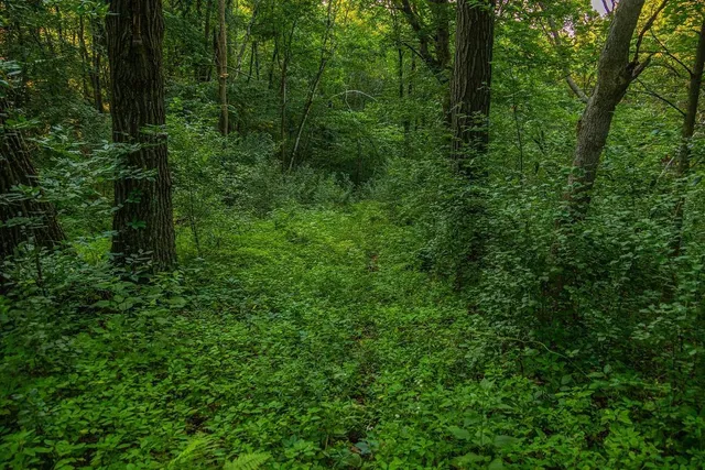 $2,950,000 | N34701 County Road South, Blair, WI 54616