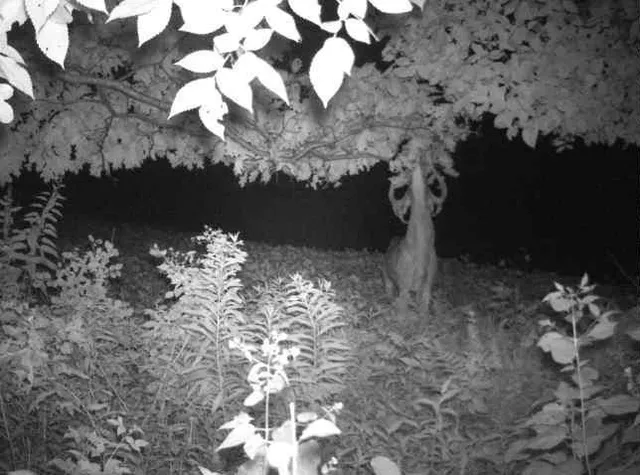 $2,950,000 | N34701 County Road South, Blair, WI 54616