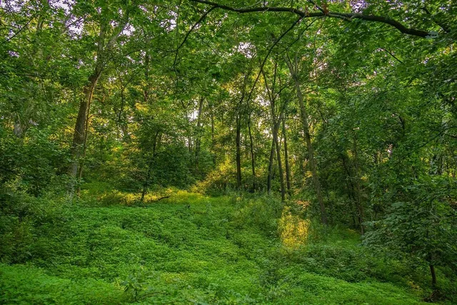 $2,950,000 | N34701 County Road South, Blair, WI 54616