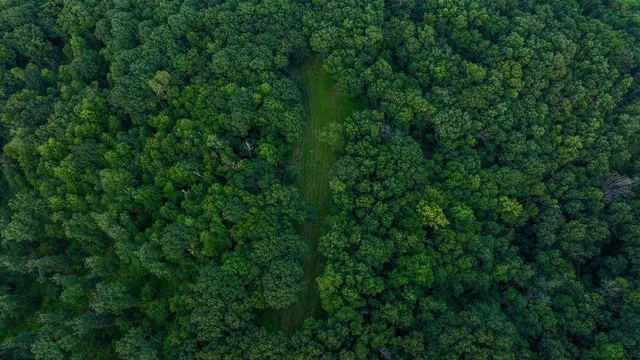 $2,950,000 | N34701 County Road South, Blair, WI 54616