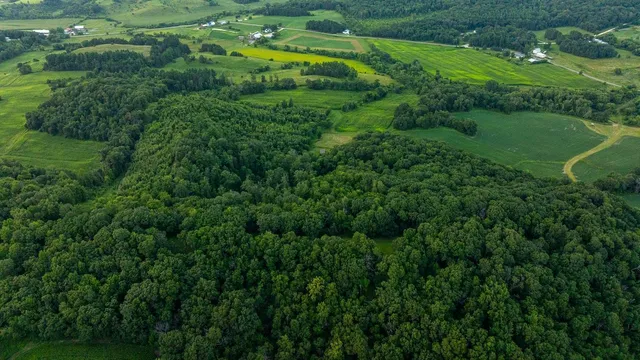 $2,950,000 | N34701 County Road South, Blair, WI 54616