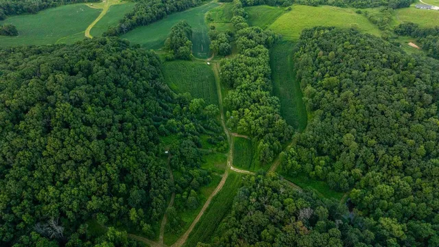 $2,950,000 | N34701 County Road South, Blair, WI 54616