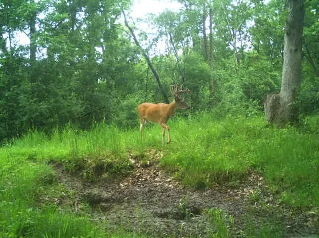 $2,950,000 | N34701 County Road South, Blair, WI 54616