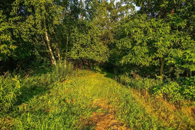 $2,950,000 | N34701 County Road South, Blair, WI 54616