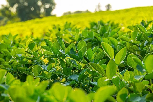 $2,950,000 | N34701 County Road South, Blair, WI 54616