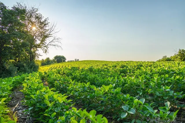 $2,950,000 | N34701 County Road South, Blair, WI 54616