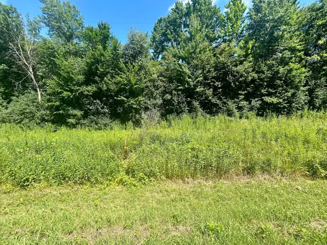 $169,900 | Lot 2 30th Avenue, Amery, WI 54001