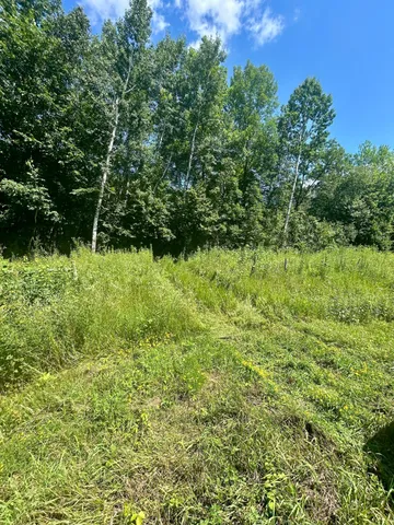 $169,900 | Lot 2 30th Avenue, Amery, WI 54001