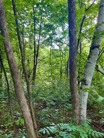 $169,900 | Lot 2 30th Avenue, Amery, WI 54001