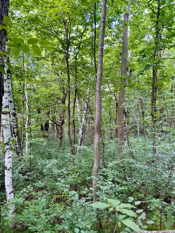$169,900 | Lot 2 30th Avenue, Amery, WI 54001