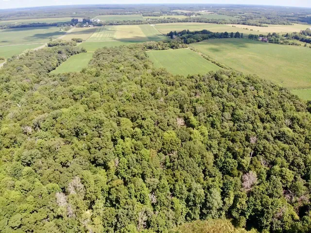 $169,900 | Lot 2 30th Avenue, Amery, WI 54001