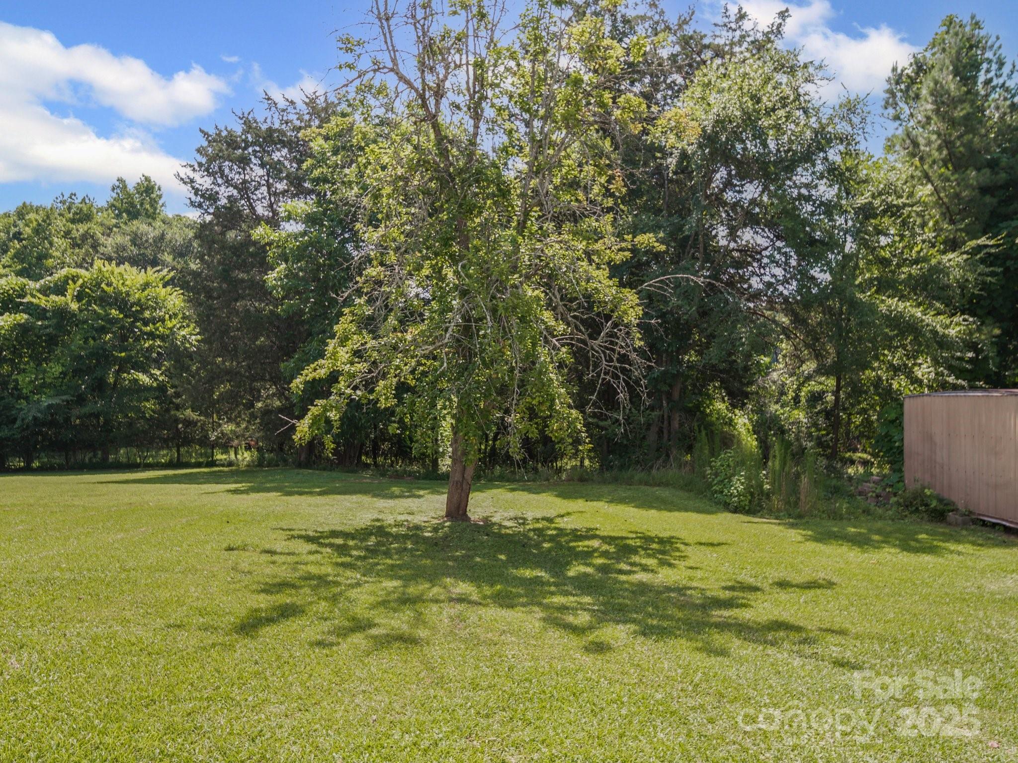 4615 Lockhart Road Sharon, SC 29742 - Photo 17 of 18 a view of a tree in a yard