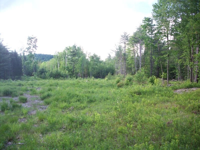 2470 Benton Road Haverhill, NH 03774 - Photo 1 of 6