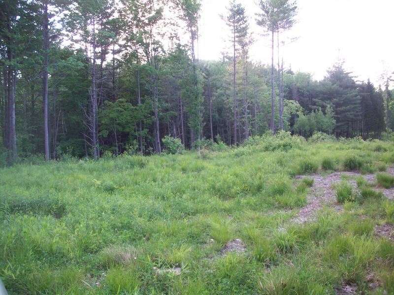 2470 Benton Road Haverhill, NH 03774 - Photo 4 of 6