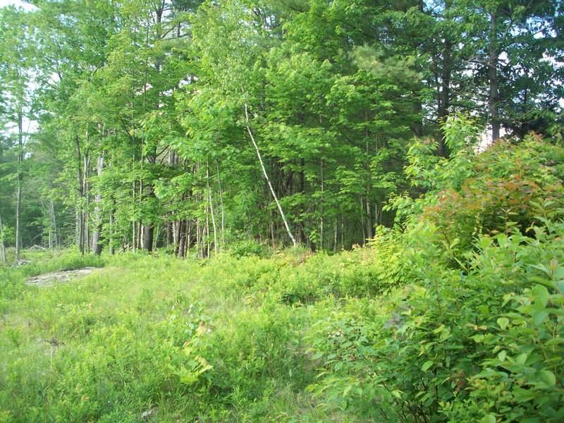 2470 Benton Road Haverhill, NH 03774 - Photo 5 of 6