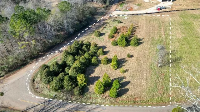 a close up of a vase of flowers