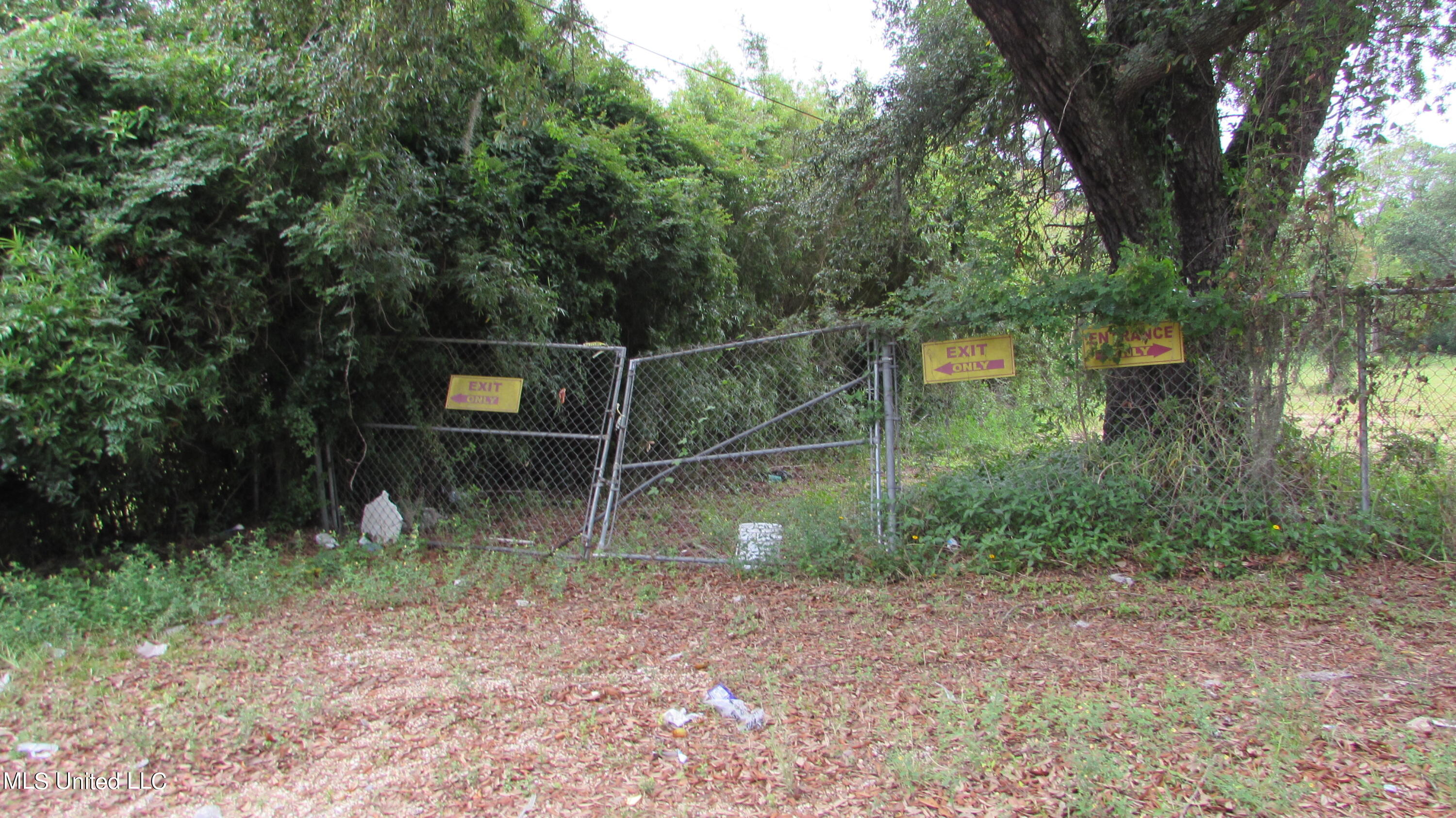 1808 East Pass Road Gulfport, MS 39507 - Photo 6 of 10 IMG_0180