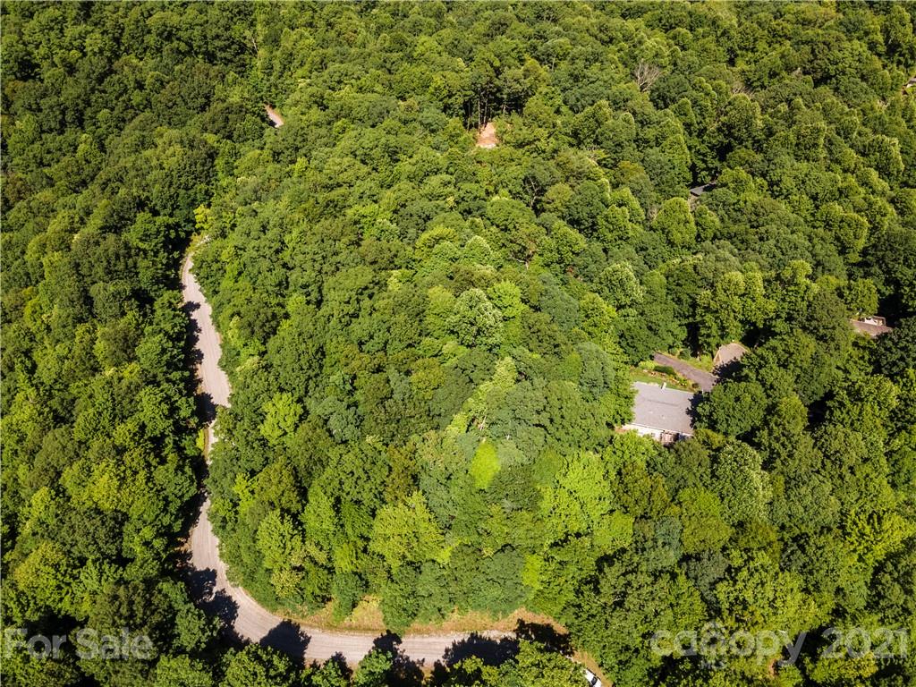 Tbd Big Branch Road, Unit 33 Brevard, NC 28712 - Photo 14 of 31 Gallery Image 14