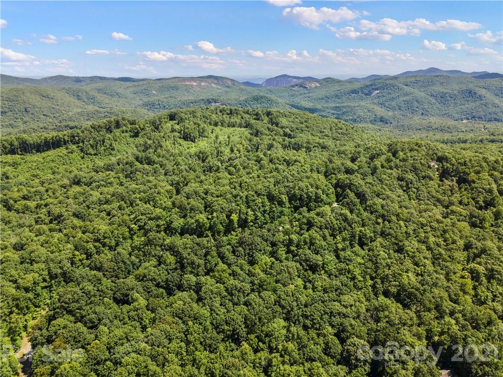 Tbd Big Branch Road, Unit 33 Brevard, NC 28712 - Photo 22 of 31 Gallery Image 22