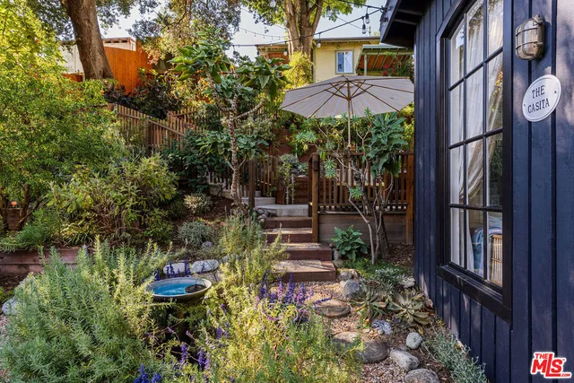 a view of a pathway of a tree
