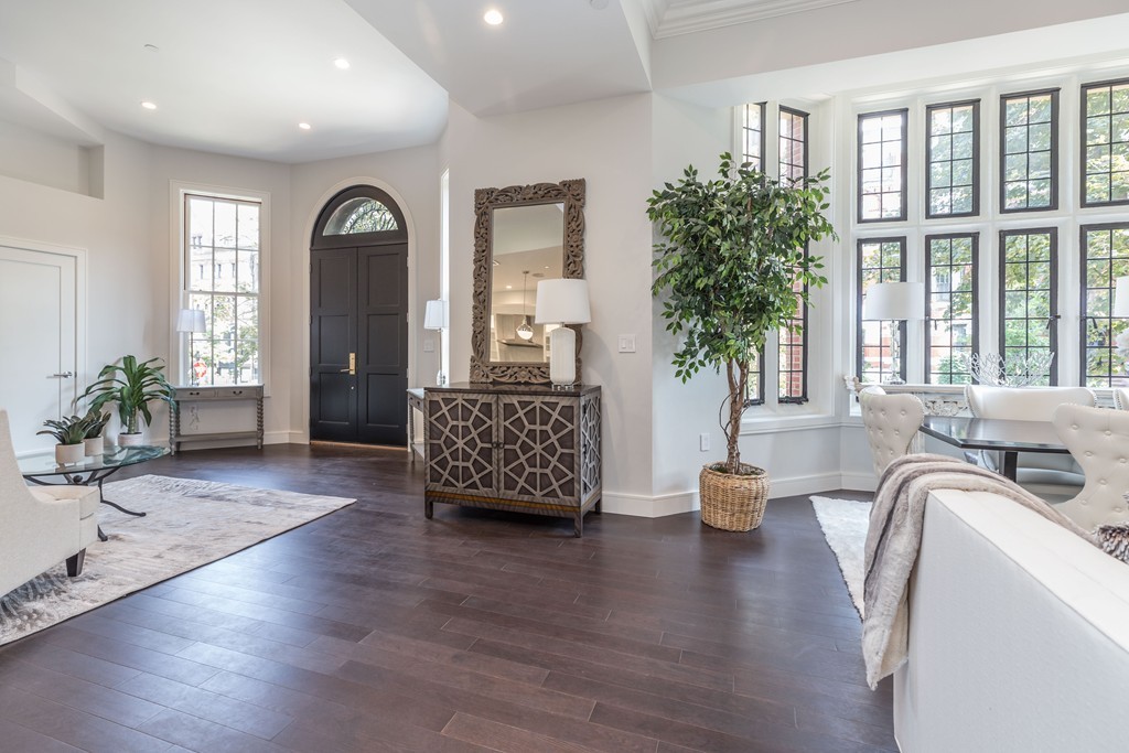 11 Exeter Street, Unit 3 Boston, MA 02116 - Photo 9 of 17 a living room with furniture and a potted plant