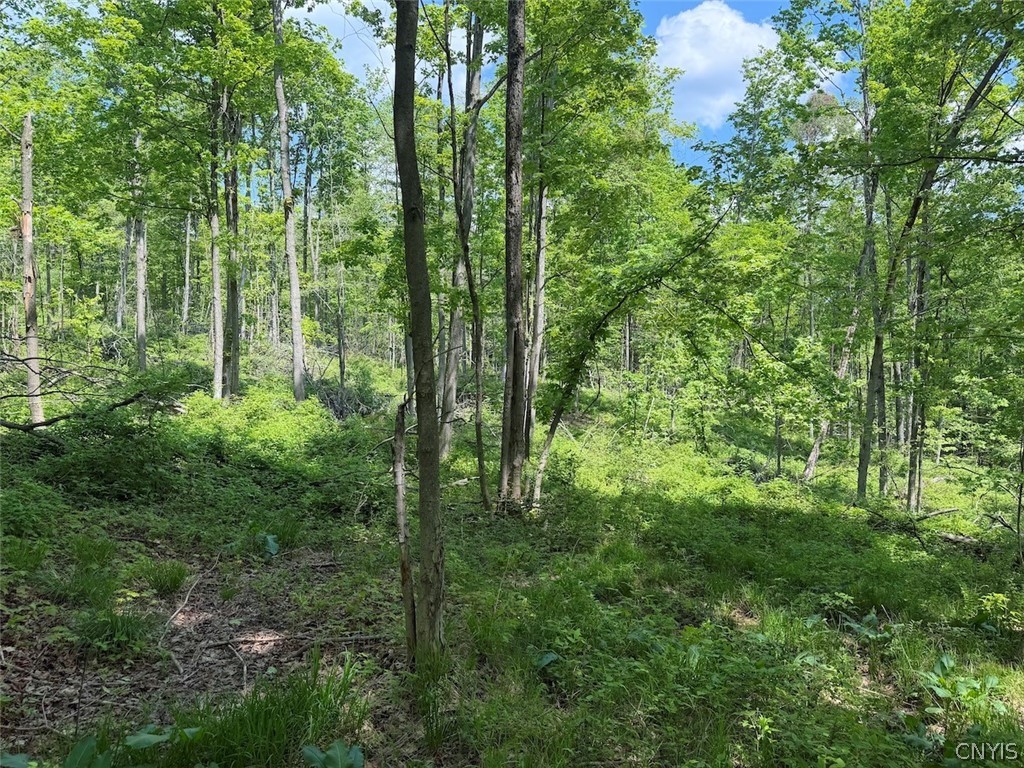 Dye Road South Dayton, NY 14138 - Photo 17 of 27