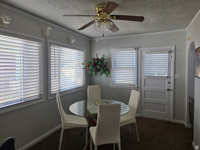 250 West 200 N Street Beaver, UT 84713 - Photo 10 of 63