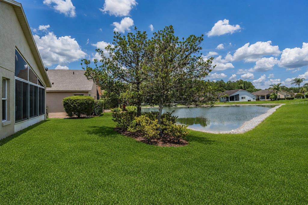 1032 Dustan Place Trinity, FL 34655 - Photo 23 of 51